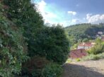 Schriesheim-Altenbach Grundstück zu verkaufen 1032 qm, direkt am Waldrand - Bild