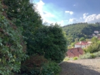 Bild - Schriesheim-Altenbach Grundstück zu verkaufen 1032 qm, direkt am Waldrand